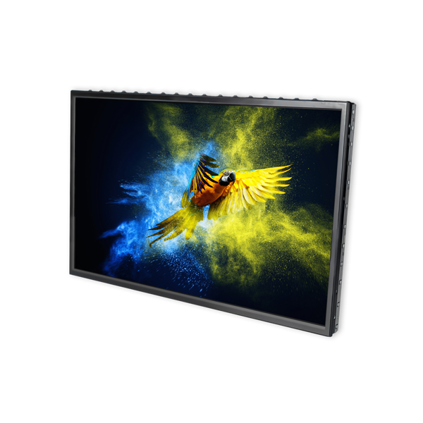 VGG191201-A(WT)