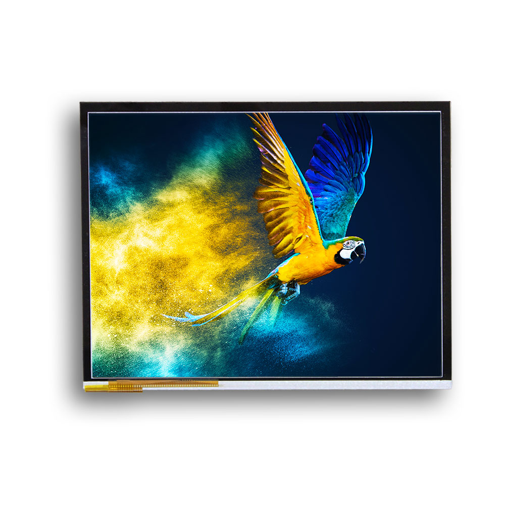 VGG107614-B(SR)