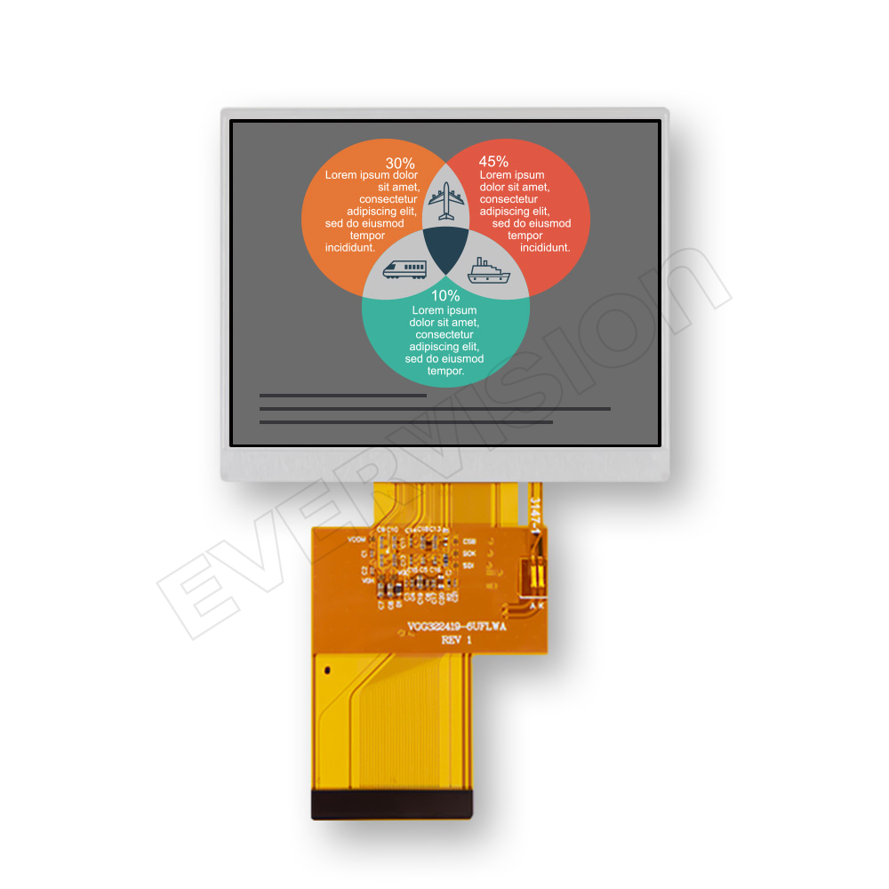 VGG322425-B(WT)